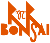 R'n'R Bonsai